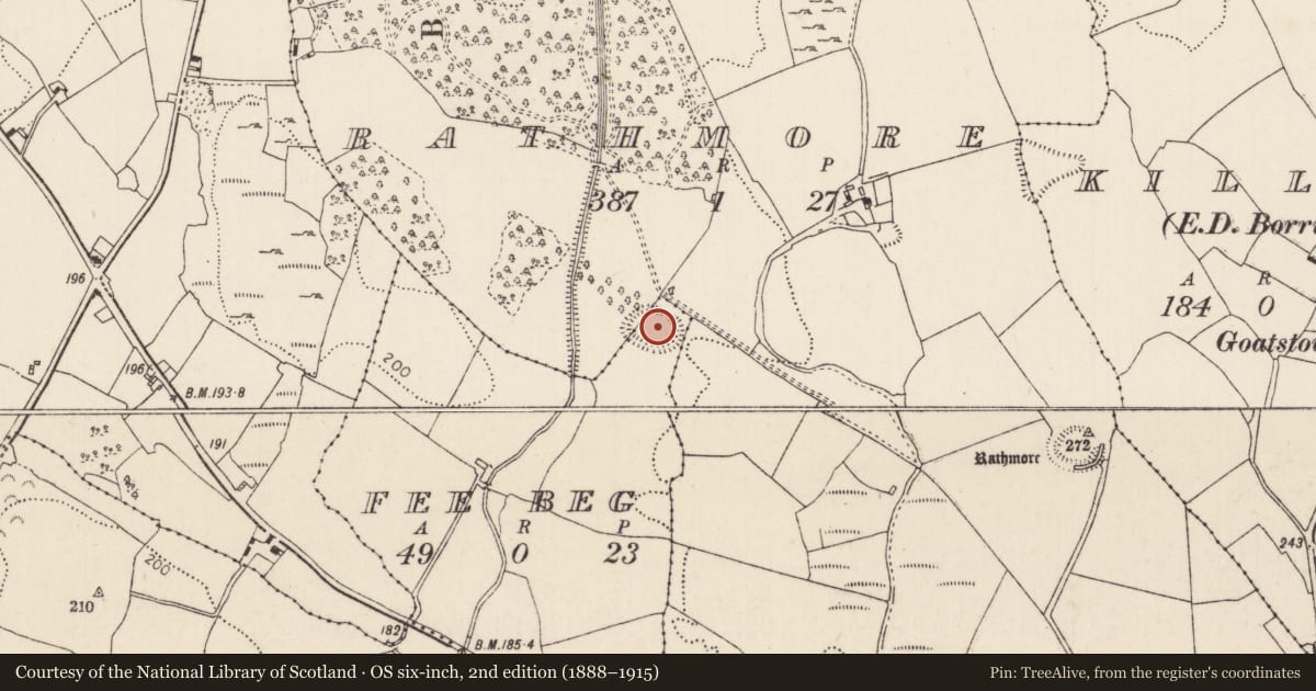 Ordnance Survey six-inch map, 2nd edition (1888–1915) covering the location of Ringfort - rath, Fee Beg, Rathmore (Borrisokane Par.), County Tipperary North, with a pin at the register's coordinates