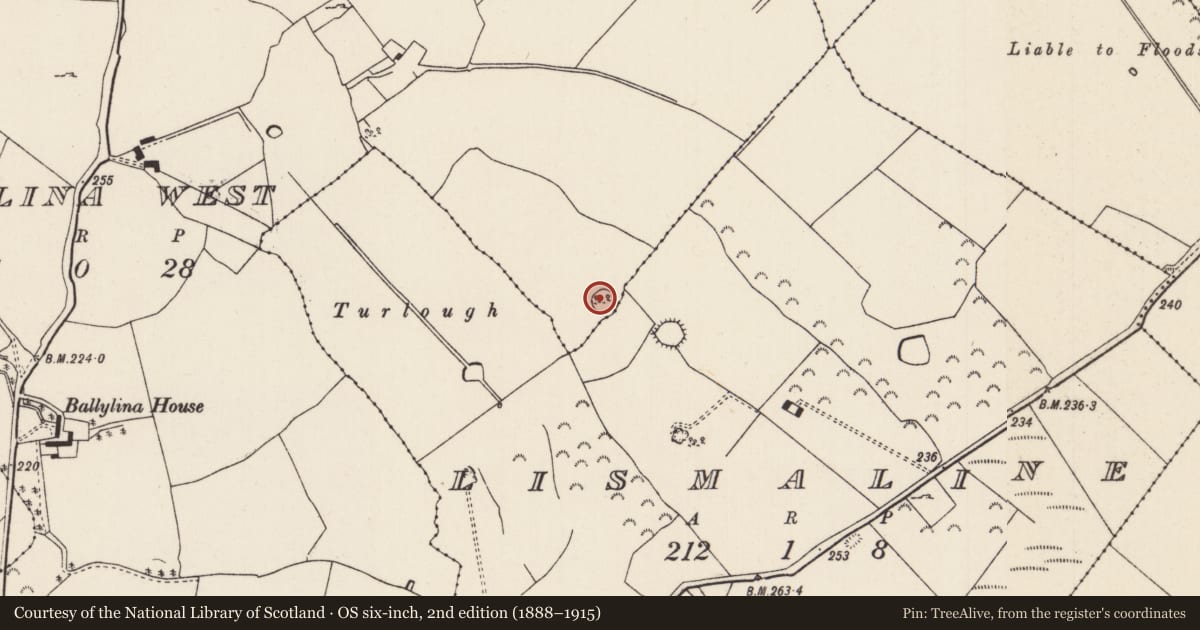 Ordnance Survey six-inch map, 2nd edition (1888–1915) covering the location of Enclosure, Ballylina West, County Tipperary North, with a pin at the register's coordinates