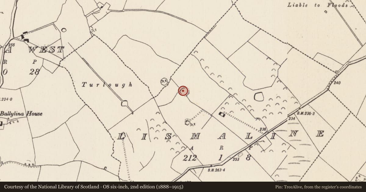 Ordnance Survey six-inch map, 2nd edition (1888–1915) covering the location of Ringfort - rath, Lismaline, County Tipperary North, with a pin at the register's coordinates