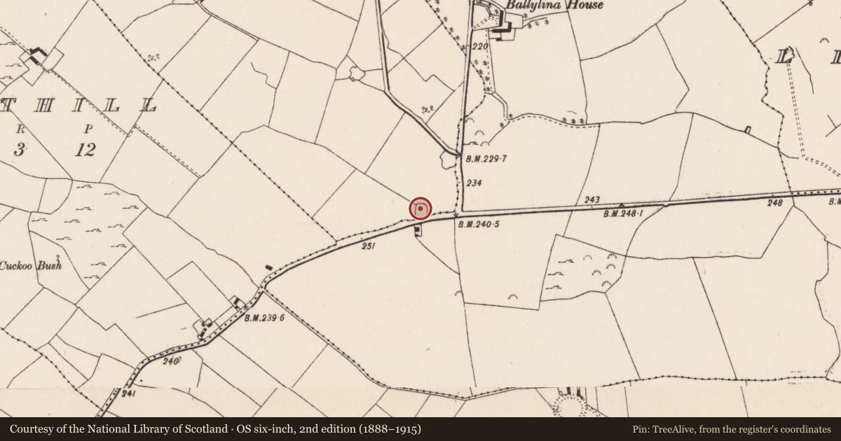Ordnance Survey six-inch map, 2nd edition (1888–1915) covering the location of Ringfort - rath, Ballylina West, Uskane, County Tipperary North, with a pin at the register's coordinates