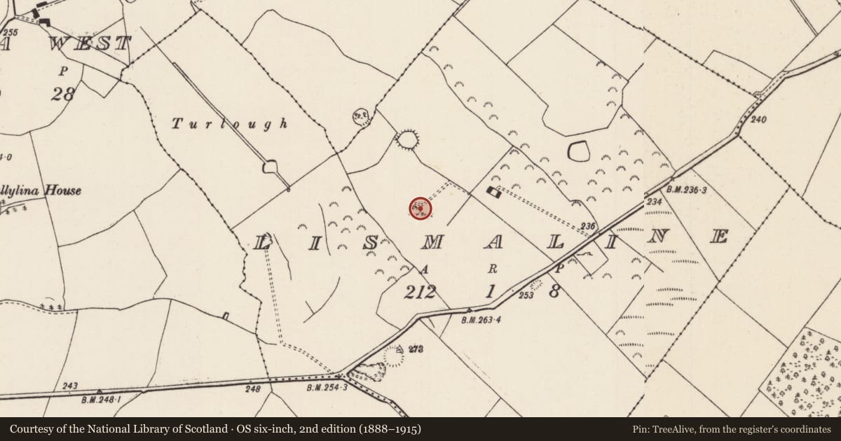 Ordnance Survey six-inch map, 2nd edition (1888–1915) covering the location of Earthwork, Lismaline, County Tipperary North, with a pin at the register's coordinates