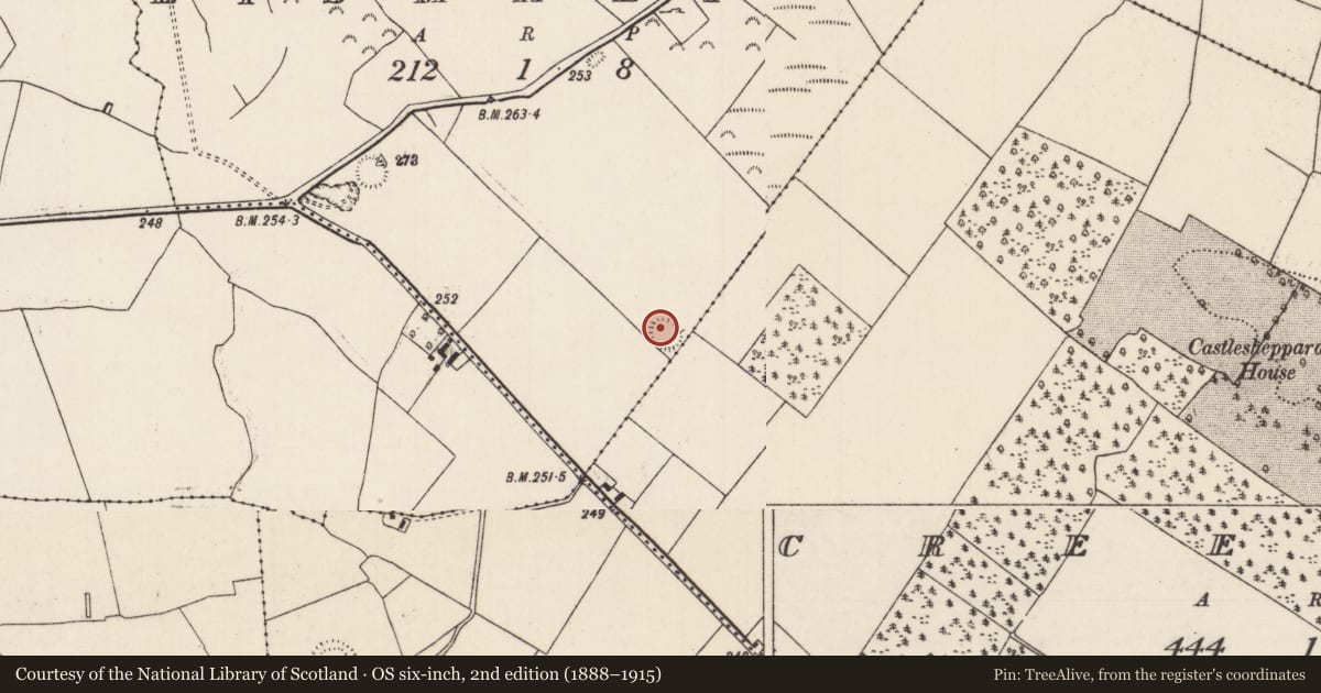 Ordnance Survey six-inch map, 2nd edition (1888–1915) covering the location of Ringfort - rath, Lismaline, County Tipperary North, with a pin at the register's coordinates