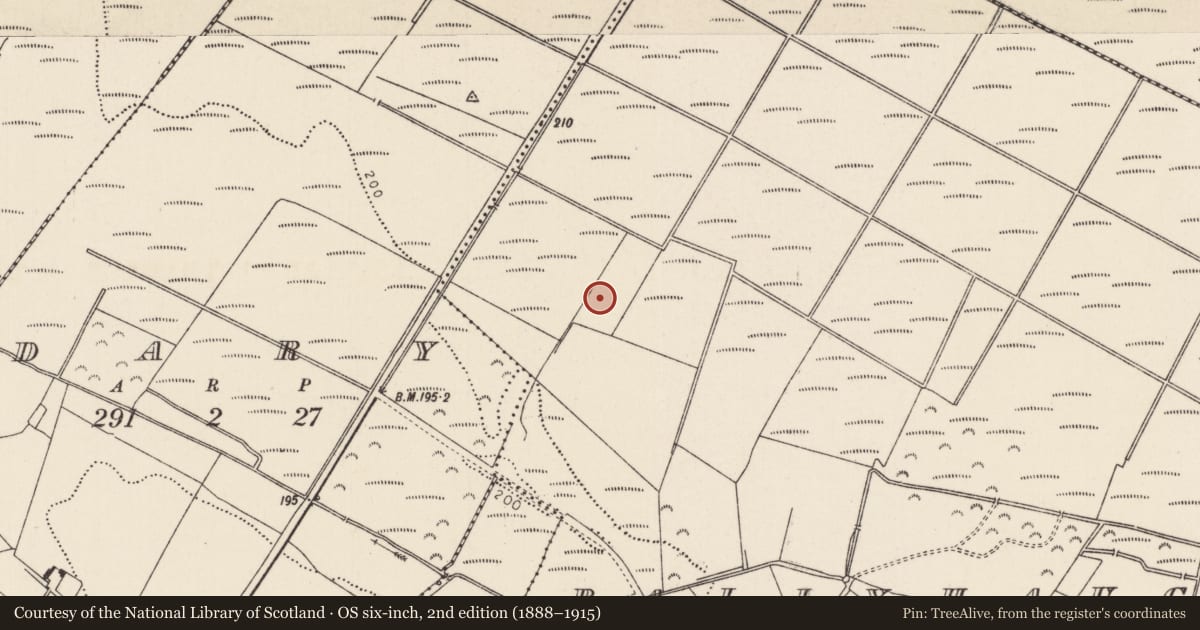 Ordnance Survey six-inch map, 2nd edition (1888–1915) covering the location of Fulacht fia, Ballyhaugh, County Tipperary North, with a pin at the register's coordinates