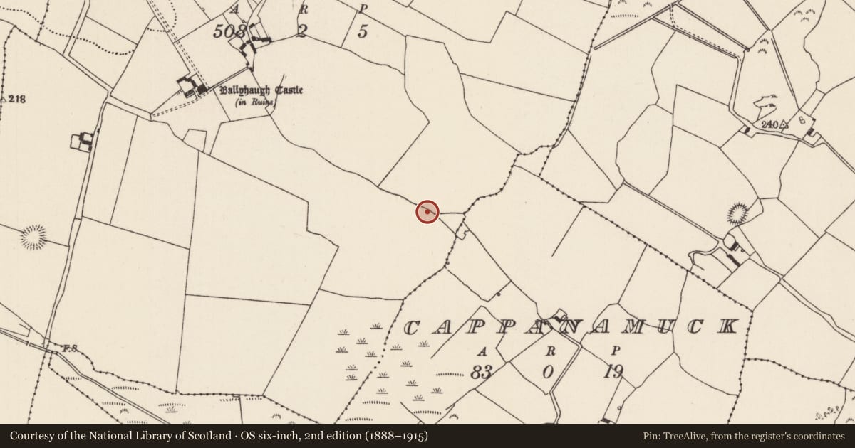 Ordnance Survey six-inch map, 2nd edition (1888–1915) covering the location of Fulacht fia, Ballyhaugh, County Tipperary North, with a pin at the register's coordinates