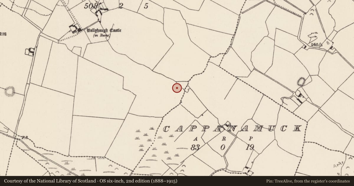 Ordnance Survey six-inch map, 2nd edition (1888–1915) covering the location of Fulacht fia, Ballyhaugh, County Tipperary North, with a pin at the register's coordinates