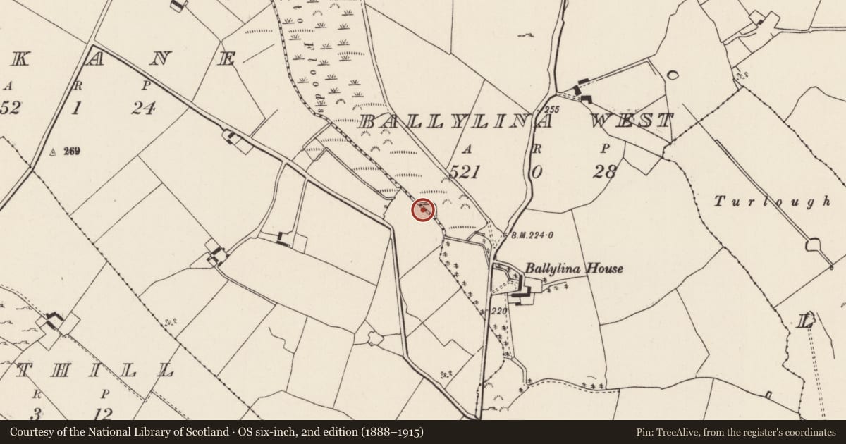 Ordnance Survey six-inch map, 2nd edition (1888–1915) covering the location of Fulacht fia, Uskane, County Tipperary North, with a pin at the register's coordinates