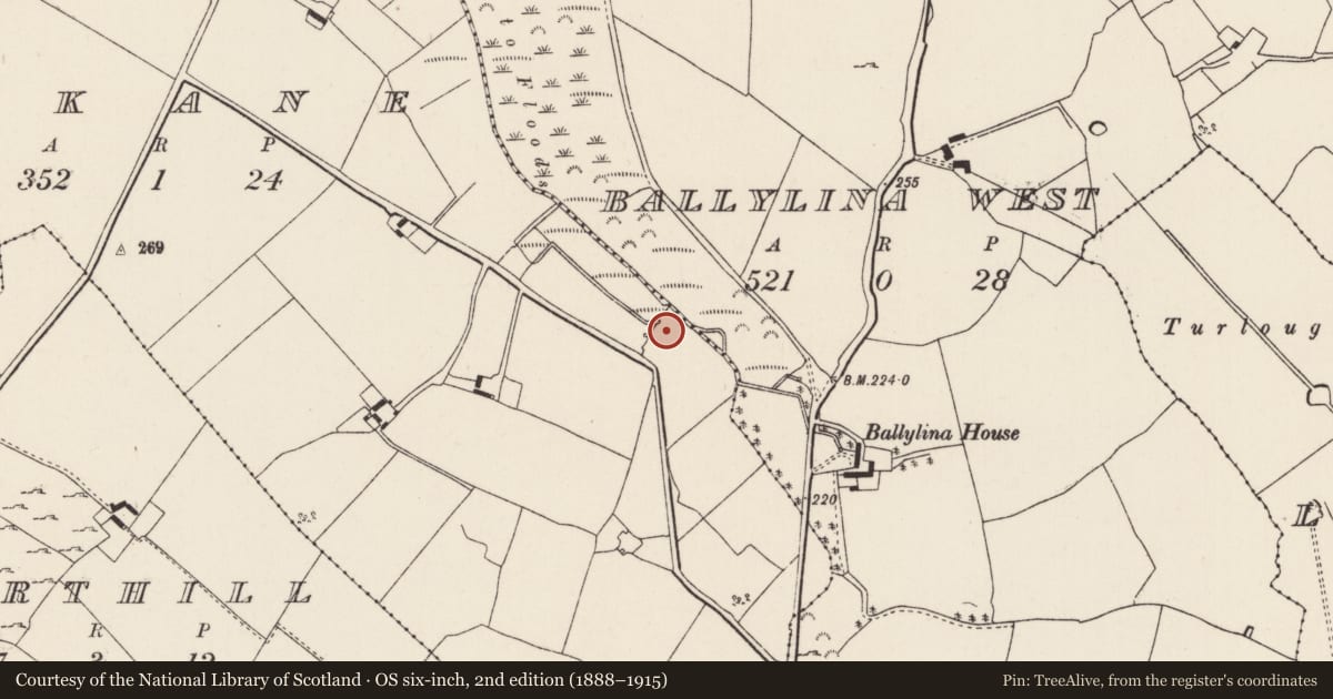 Ordnance Survey six-inch map, 2nd edition (1888–1915) covering the location of Fulacht fia, Uskane, County Tipperary North, with a pin at the register's coordinates