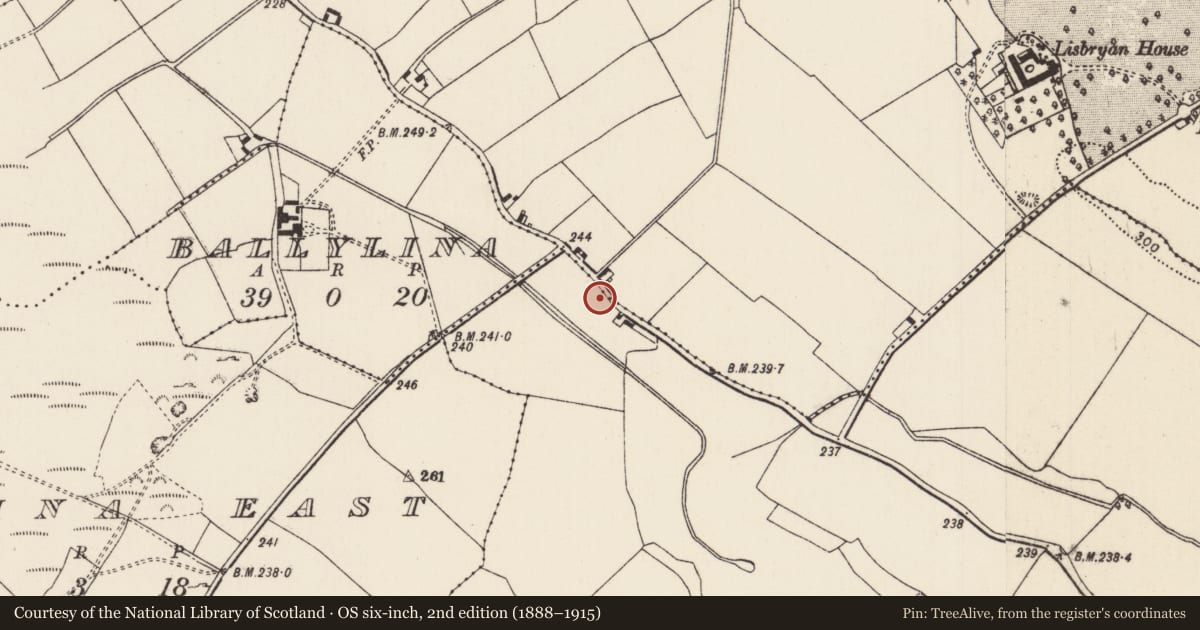 Ordnance Survey six-inch map, 2nd edition (1888–1915) covering the location of Souterrain, Rahinane (Ballingarry Par., North Riding), County Tipperary North, with a pin at the register's coordinates