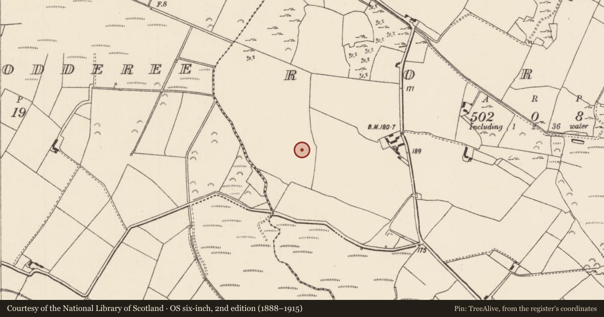 Ordnance Survey six-inch map, 2nd edition (1888–1915) covering the location of Enclosure, Roran (Terryglass Par.), County Tipperary North, with a pin at the register's coordinates