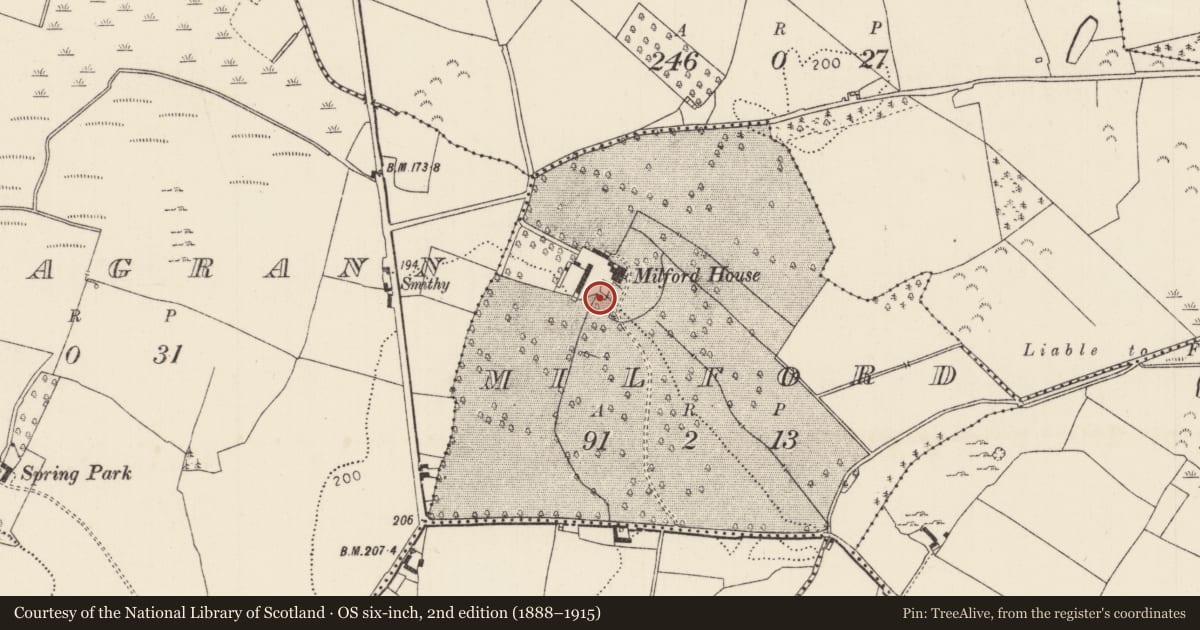 Ordnance Survey six-inch map, 2nd edition (1888–1915) covering the location of Bee-boles, Milford, County Tipperary North, with a pin at the register's coordinates
