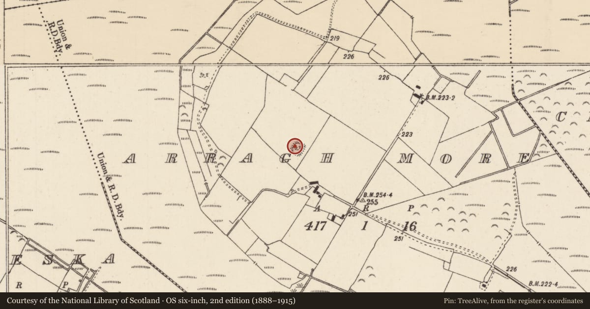 Ordnance Survey six-inch map, 2nd edition (1888–1915) covering the location of Enclosure, Arragh More, County Tipperary North, with a pin at the register's coordinates