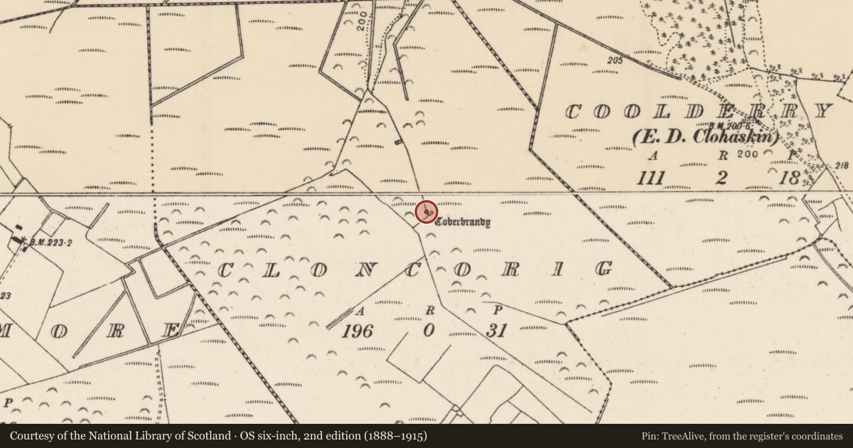 Ordnance Survey six-inch map, 2nd edition (1888–1915) covering the location of Well, Cloncorig, County Tipperary North, with a pin at the register's coordinates