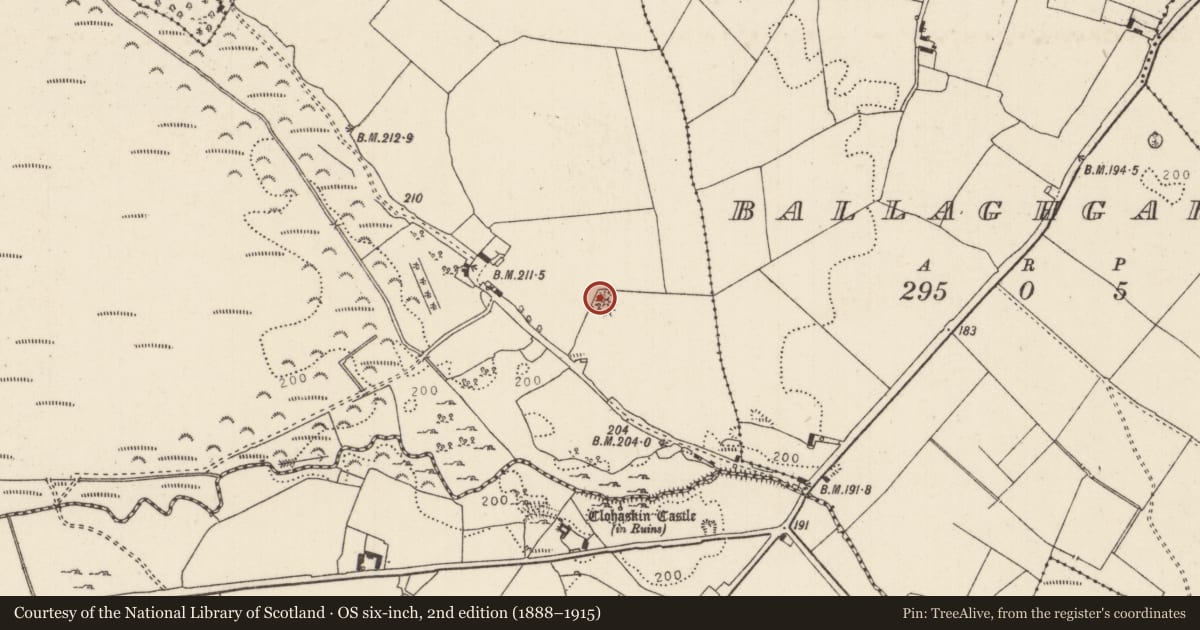 Ordnance Survey six-inch map, 2nd edition (1888–1915) covering the location of Barrow - bowl-barrow, Faddan More, County Tipperary North, with a pin at the register's coordinates