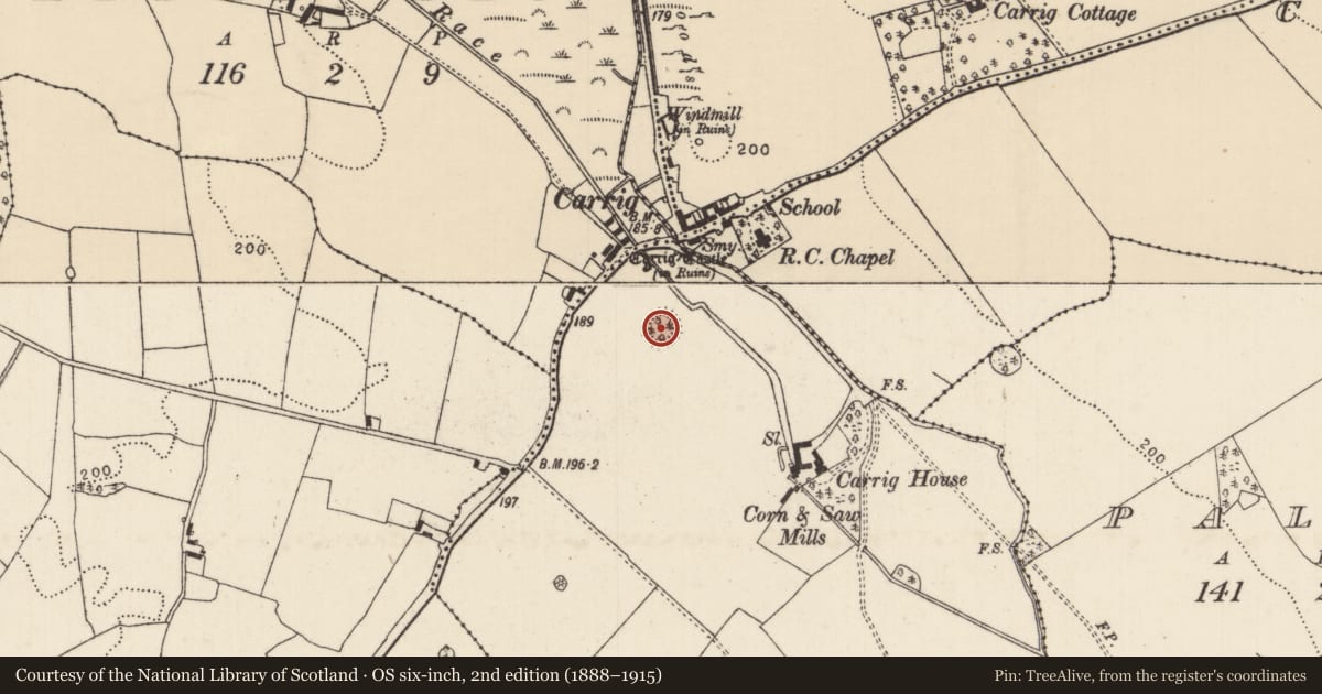 Ordnance Survey six-inch map, 2nd edition (1888–1915) covering the location of Ringfort - rath, Doughkill, County Tipperary North, with a pin at the register's coordinates