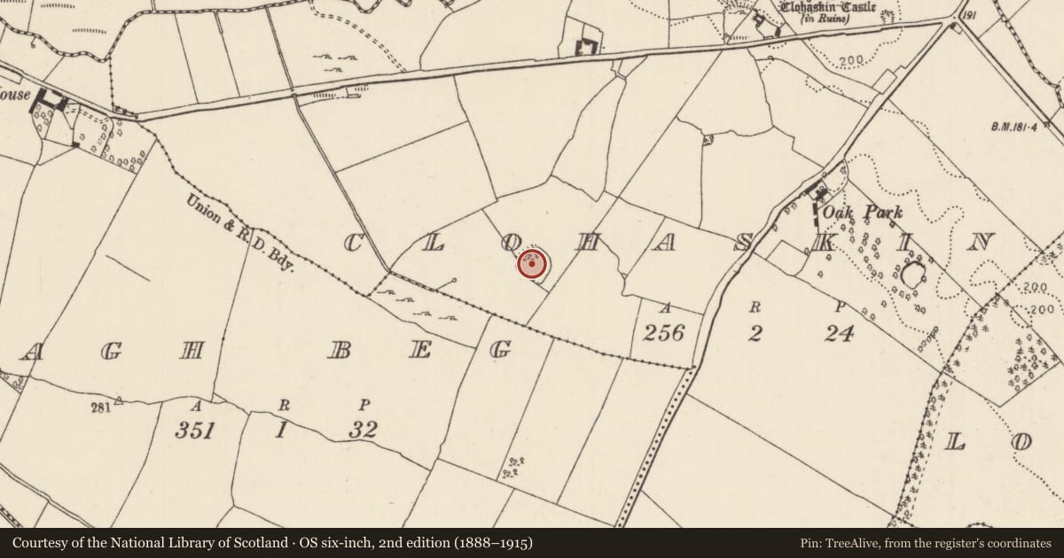 Ordnance Survey six-inch map, 2nd edition (1888–1915) covering the location of Enclosure, Clohaskin, County Tipperary North, with a pin at the register's coordinates