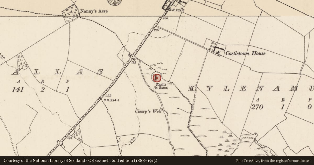 Ordnance Survey six-inch map, 2nd edition (1888–1915) covering the location of Castle - tower house, Castletown (Loughkeen Par.), Kylenamuck, County Tipperary North, with a pin at the register's coordinates