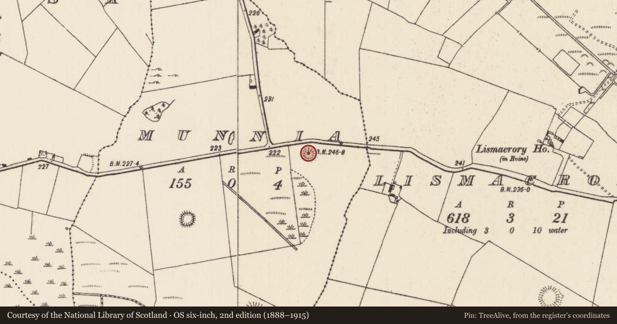 Ordnance Survey six-inch map, 2nd edition (1888–1915) covering the location of Enclosure, Munnia (Ballingarry Par., North Riding), County Tipperary North, with a pin at the register's coordinates