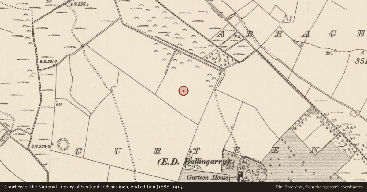 Ordnance Survey six-inch map, 2nd edition (1888–1915) covering the location of Enclosure, Gurteen (Loughkeen Par.), County Tipperary North, with a pin at the register's coordinates