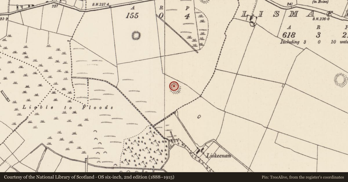 Ordnance Survey six-inch map, 2nd edition (1888–1915) covering the location of Enclosure, Munnia (Ballingarry Par., North Riding), County Tipperary North, with a pin at the register's coordinates