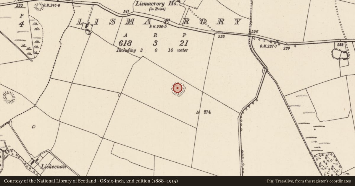 Ordnance Survey six-inch map, 2nd edition (1888–1915) covering the location of Ringfort - rath, Lismacrory, County Tipperary North, with a pin at the register's coordinates
