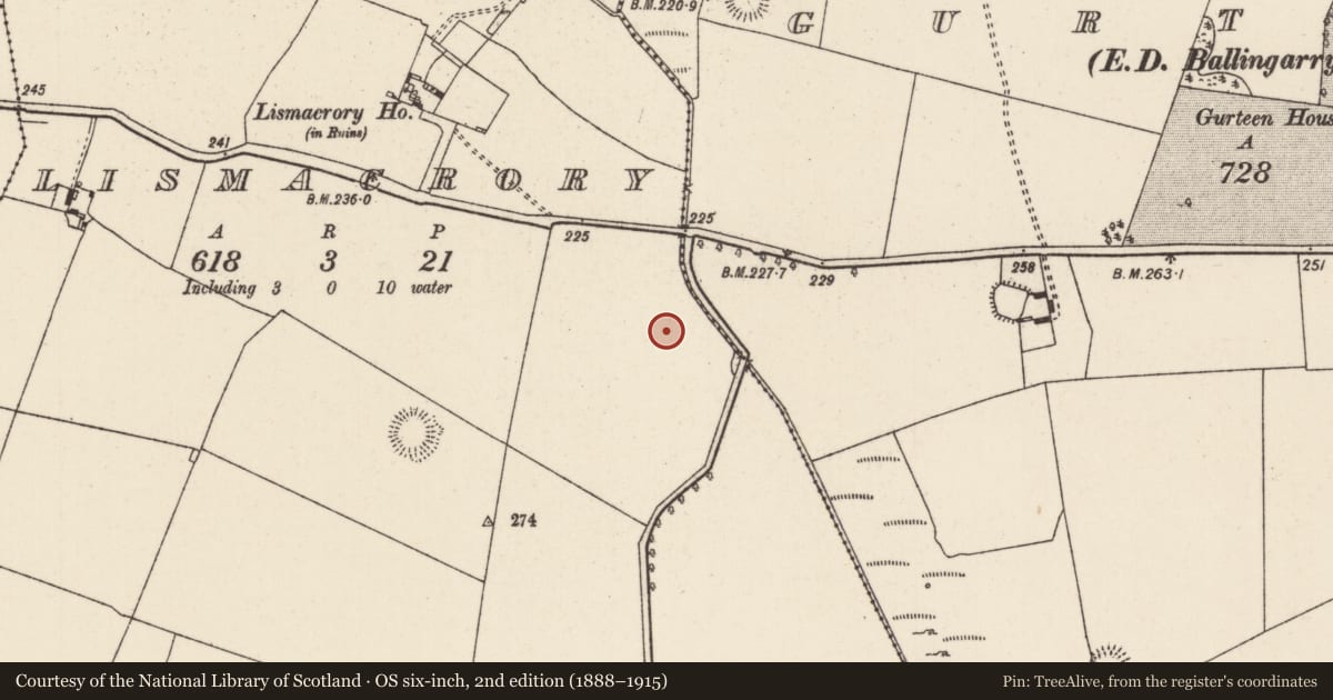 Ordnance Survey six-inch map, 2nd edition (1888–1915) covering the location of Barrow - mound barrow, Lismacrory, County Tipperary North, with a pin at the register's coordinates