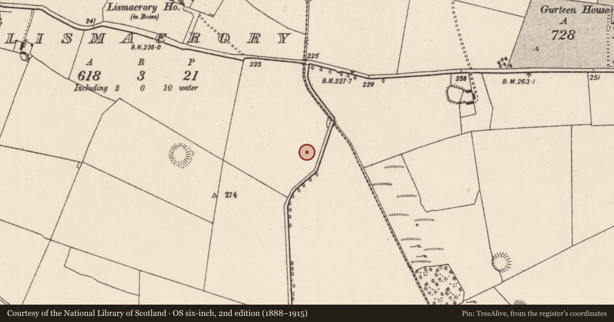 Ordnance Survey six-inch map, 2nd edition (1888–1915) covering the location of Barrow - mound barrow, Lismacrory, County Tipperary North, with a pin at the register's coordinates