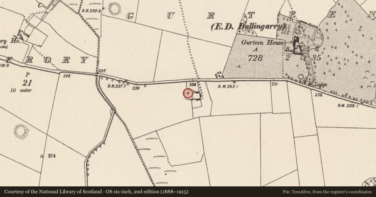Ordnance Survey six-inch map, 2nd edition (1888–1915) covering the location of Enclosure, Gurteen (Ballingarry Par., North Riding), County Tipperary North, with a pin at the register's coordinates