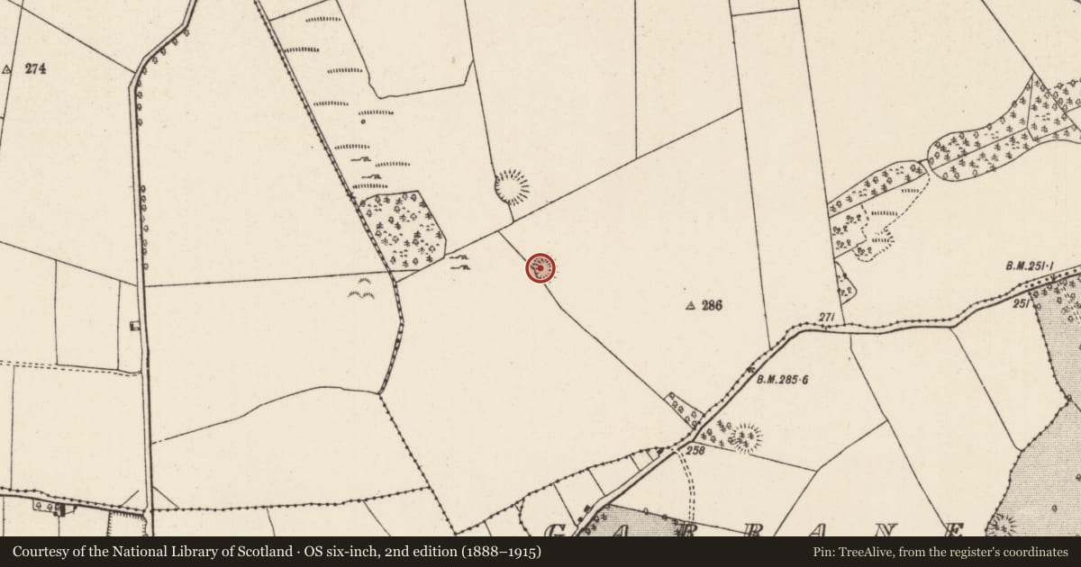 Ordnance Survey six-inch map, 2nd edition (1888–1915) covering the location of Enclosure, Gurteen (Ballingarry Par., North Riding), County Tipperary North, with a pin at the register's coordinates