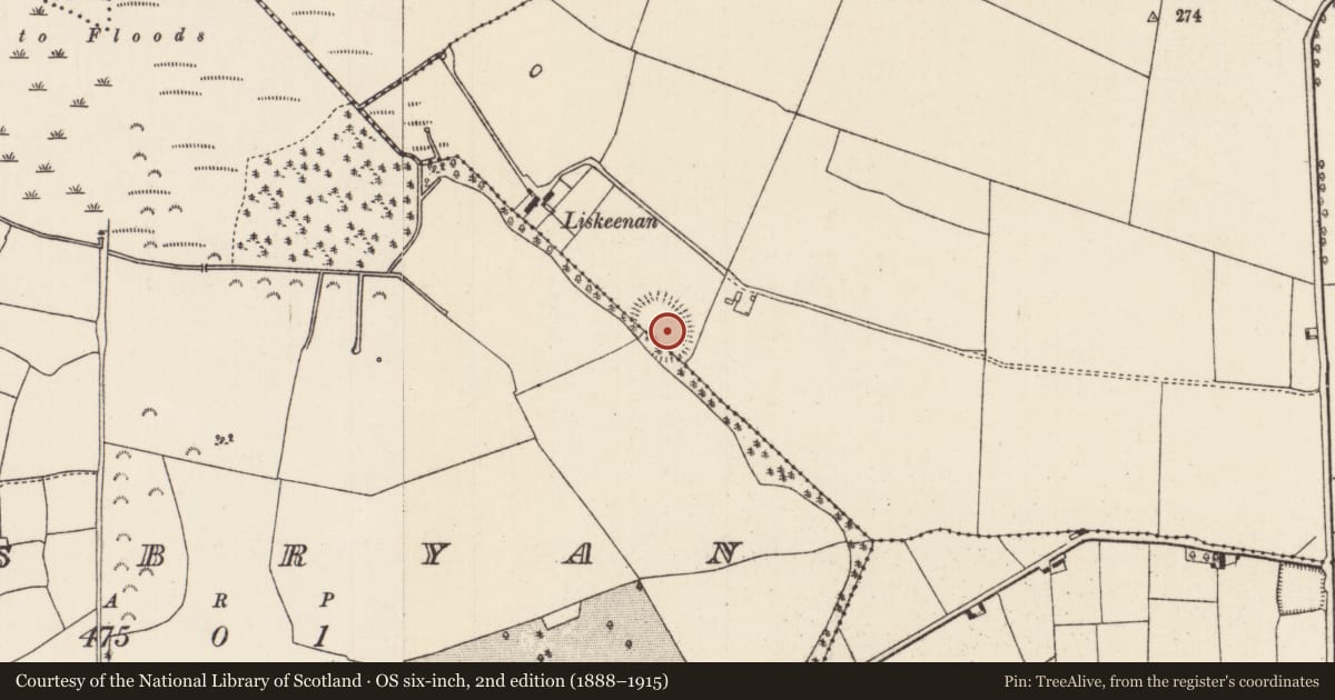 Ordnance Survey six-inch map, 2nd edition (1888–1915) covering the location of Ringfort - rath, Lisbryan (Aglishcloghane Par.), Lismacrory, County Tipperary North, with a pin at the register's coordinates