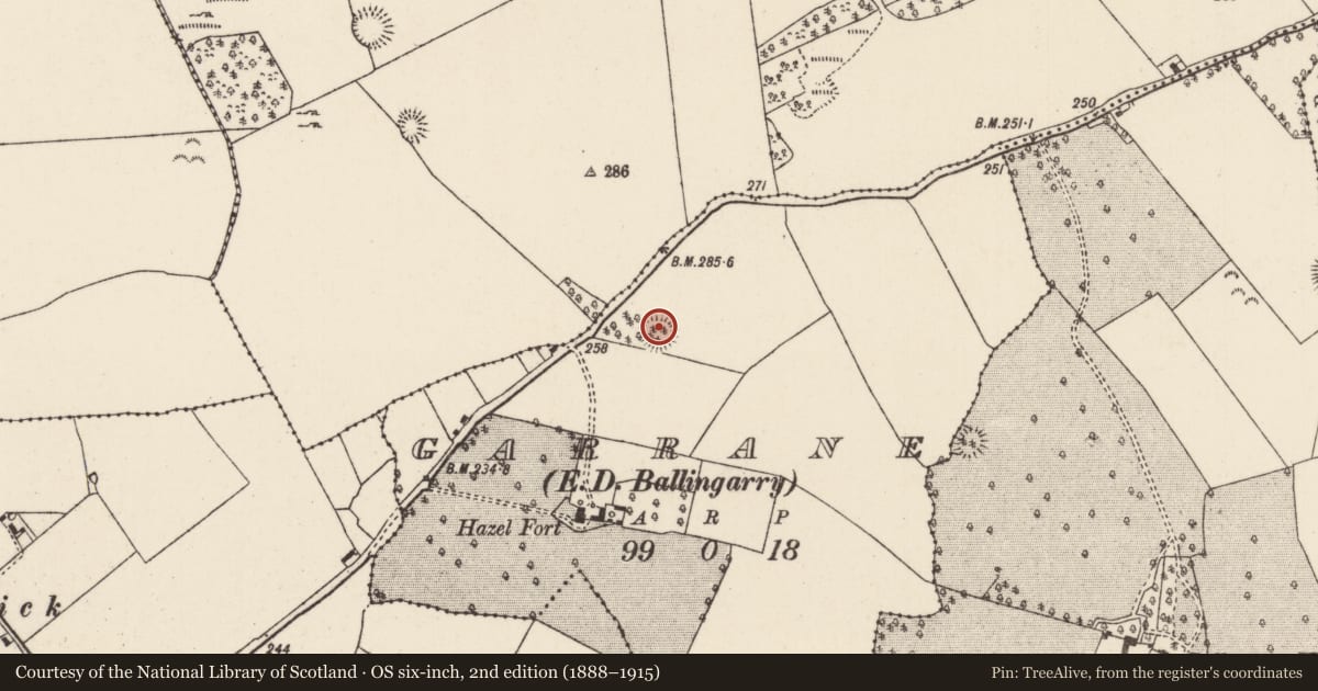 Ordnance Survey six-inch map, 2nd edition (1888–1915) covering the location of Ringfort - rath, Garrane (Ballingarry Par.), County Tipperary North, with a pin at the register's coordinates