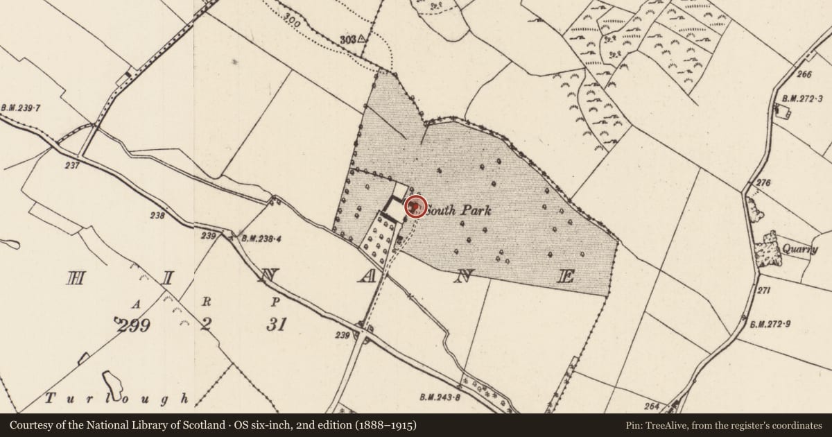Ordnance Survey six-inch map, 2nd edition (1888–1915) covering the location of Castle - unclassified, Rahinane (Ballingarry Par., North Riding), County Tipperary North, with a pin at the register's coordinates