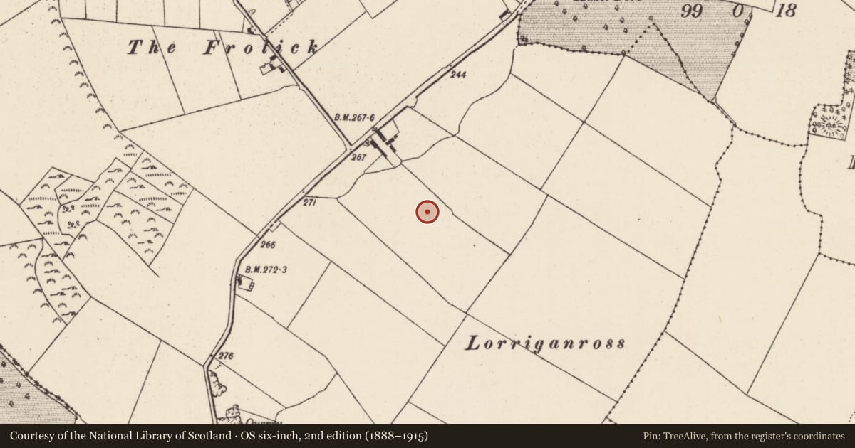 Ordnance Survey six-inch map, 2nd edition (1888–1915) covering the location of Enclosure, Ballingarry, County Tipperary North, with a pin at the register's coordinates