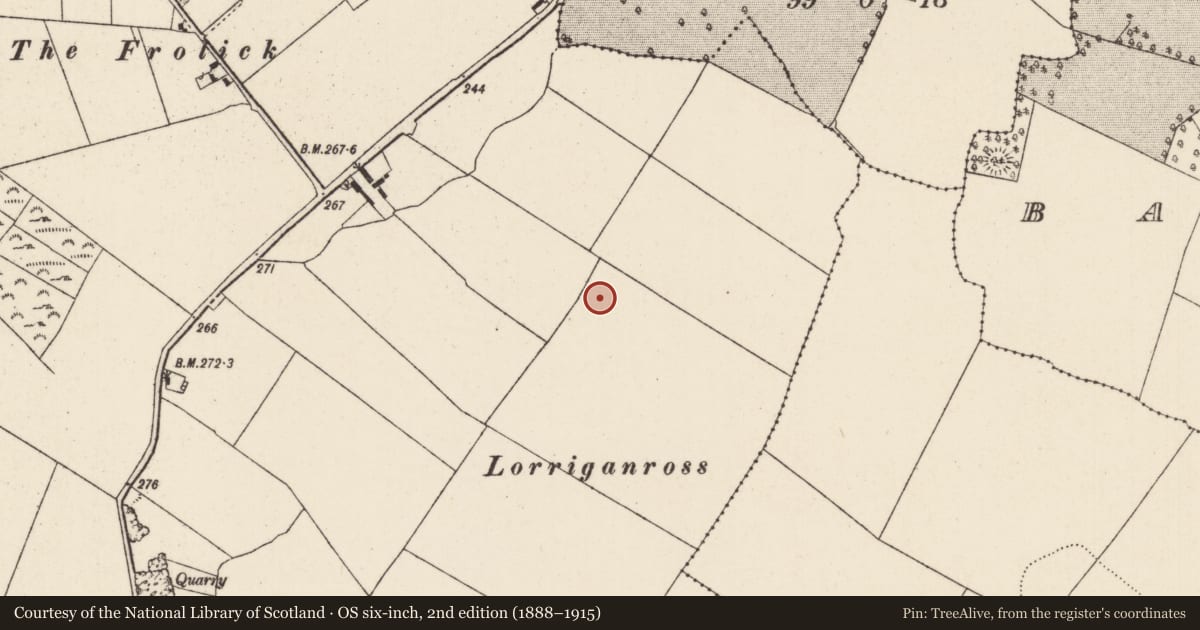 Ordnance Survey six-inch map, 2nd edition (1888–1915) covering the location of Enclosure, Ballingarry, County Tipperary North, with a pin at the register's coordinates