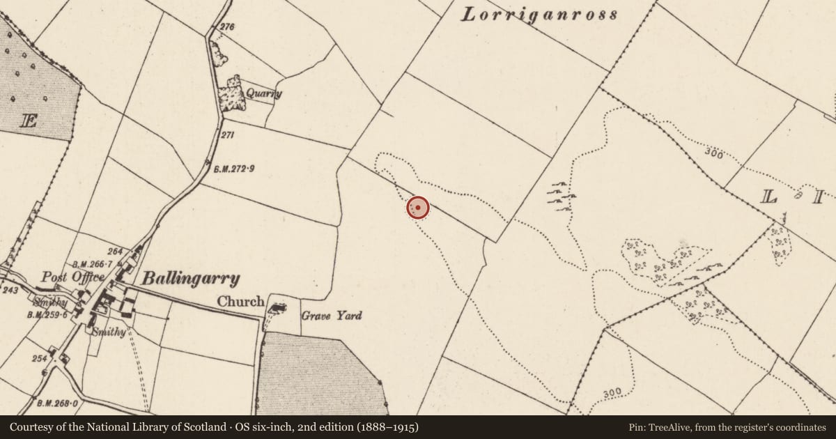 Ordnance Survey six-inch map, 2nd edition (1888–1915) covering the location of Ringfort - rath, Ballingarry, County Tipperary North, with a pin at the register's coordinates
