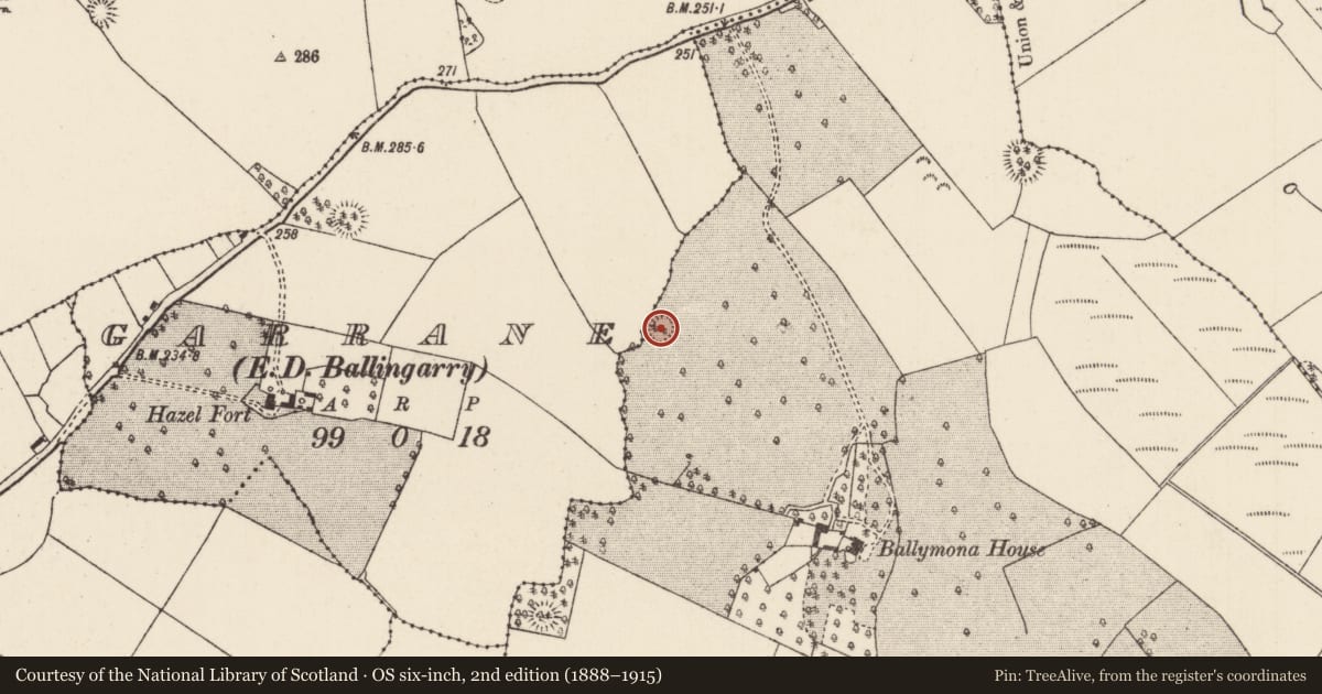 Ordnance Survey six-inch map, 2nd edition (1888–1915) covering the location of Enclosure, Ballymona, County Tipperary North, with a pin at the register's coordinates