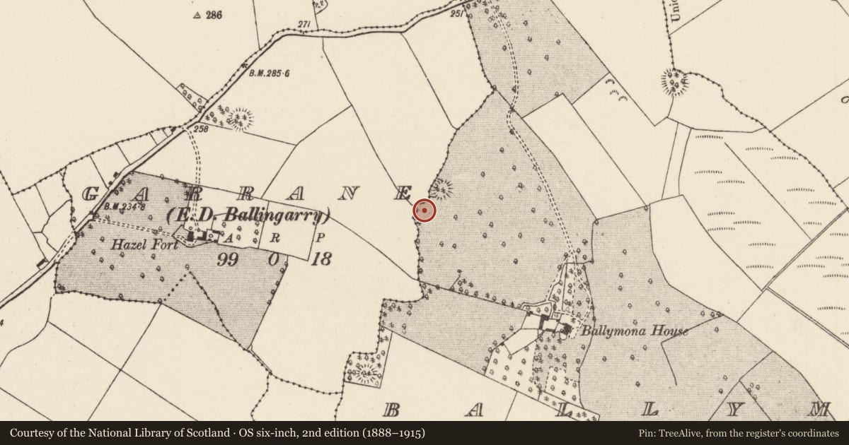 Ordnance Survey six-inch map, 2nd edition (1888–1915) covering the location of Enclosure, Ballymona, County Tipperary North, with a pin at the register's coordinates