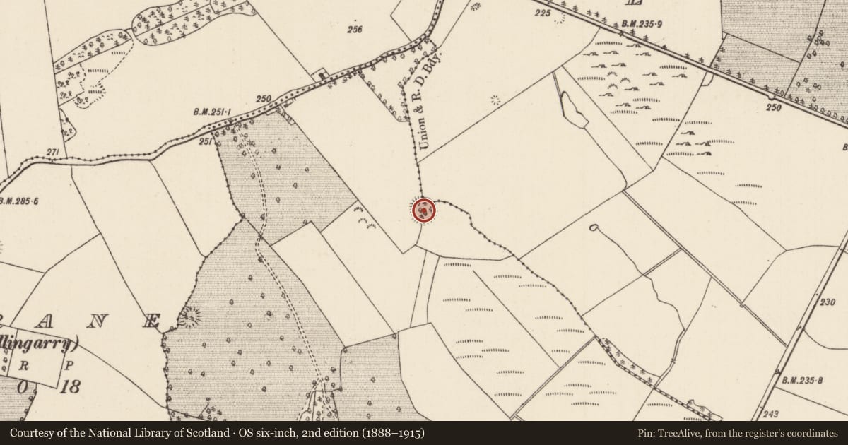 Ordnance Survey six-inch map, 2nd edition (1888–1915) covering the location of Ringfort - rath, Ballymona, Lacka (Loughkeen Par.), County Tipperary North, with a pin at the register's coordinates