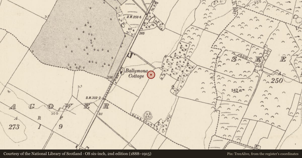 Ordnance Survey six-inch map, 2nd edition (1888–1915) covering the location of Enclosure, Ballymona, County Tipperary North, with a pin at the register's coordinates