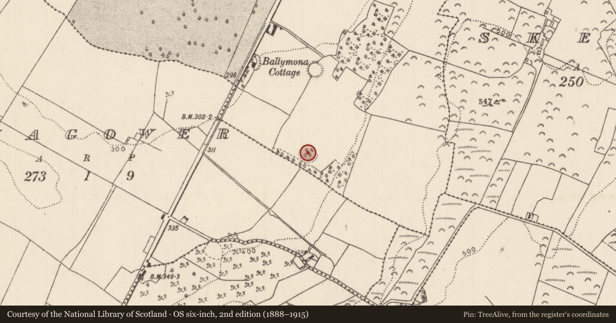 Ordnance Survey six-inch map, 2nd edition (1888–1915) covering the location of Enclosure, Ballymona, County Tipperary North, with a pin at the register's coordinates