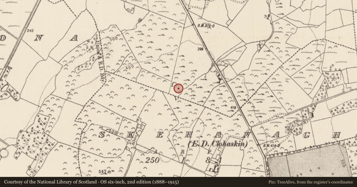 Ordnance Survey six-inch map, 2nd edition (1888–1915) covering the location of Enclosure, Lacka (Loughkeen Par.), County Tipperary North, with a pin at the register's coordinates