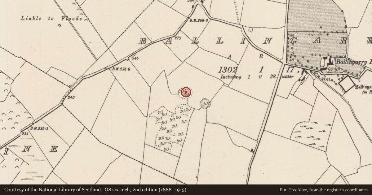 Ordnance Survey six-inch map, 2nd edition (1888–1915) covering the location of Ringfort - cashel, Ballingarry, County Tipperary North, with a pin at the register's coordinates