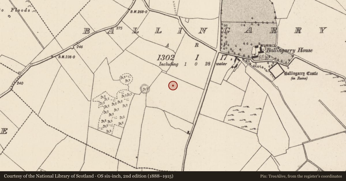 Ordnance Survey six-inch map, 2nd edition (1888–1915) covering the location of Enclosure, Ballingarry, County Tipperary North, with a pin at the register's coordinates