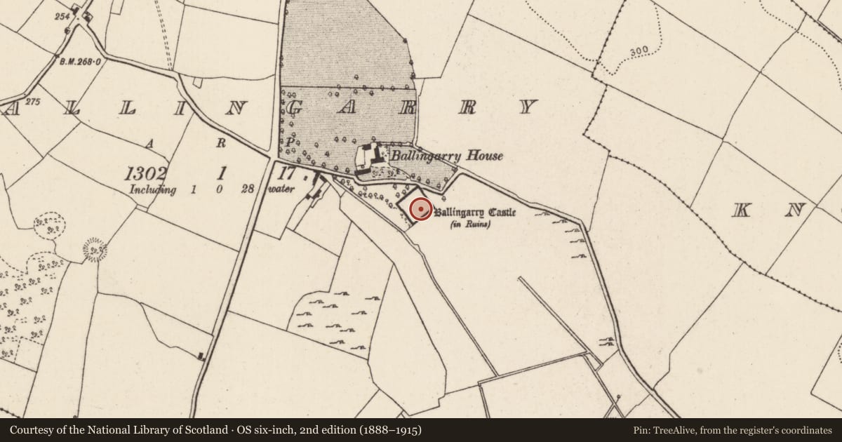 Ordnance Survey six-inch map, 2nd edition (1888–1915) covering the location of Castle - Anglo-Norman masonry castle, Ballingarry, County Tipperary North, with a pin at the register's coordinates