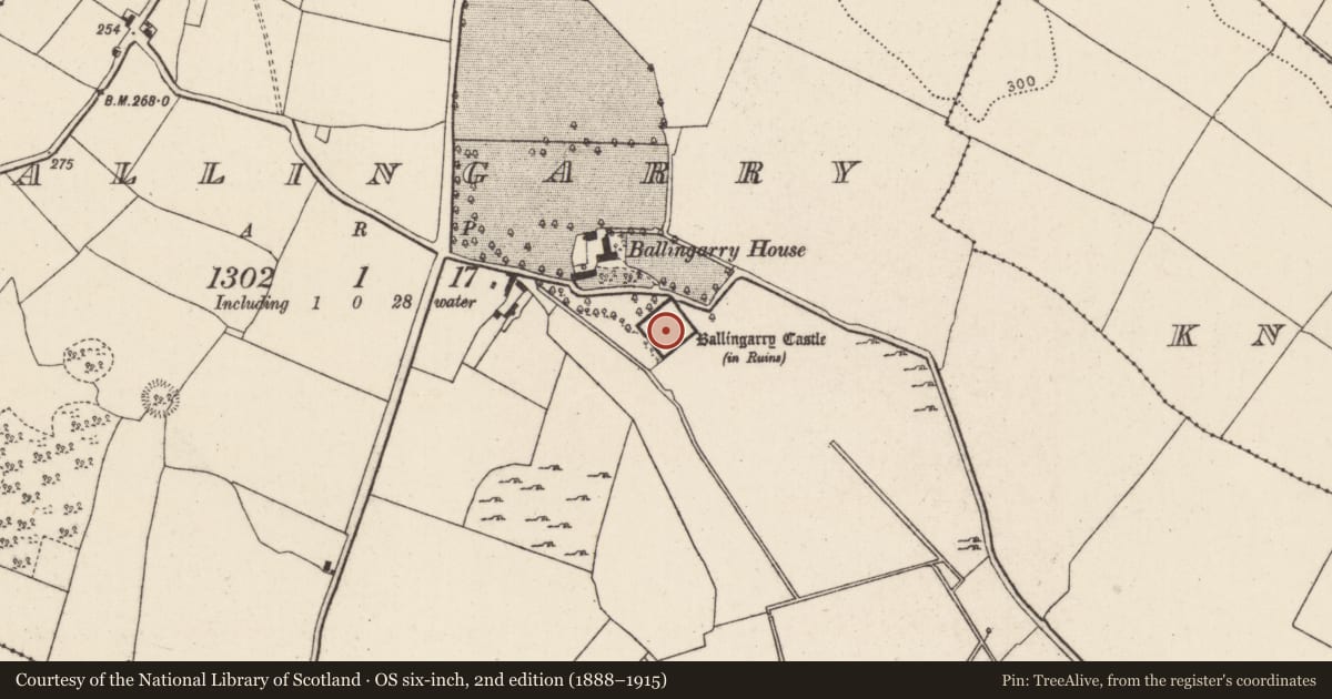 Ordnance Survey six-inch map, 2nd edition (1888–1915) covering the location of Bawn, Ballingarry, County Tipperary North, with a pin at the register's coordinates