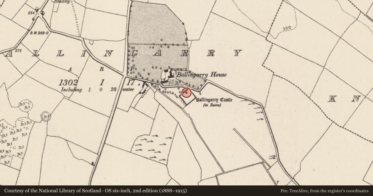 Ordnance Survey six-inch map, 2nd edition (1888–1915) covering the location of Bee-boles, Ballingarry, County Tipperary North, with a pin at the register's coordinates