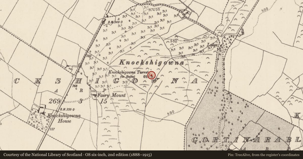 Ordnance Survey six-inch map, 2nd edition (1888–1915) covering the location of Designed landscape - summer house, Knockshigowna, County Tipperary North, with a pin at the register's coordinates