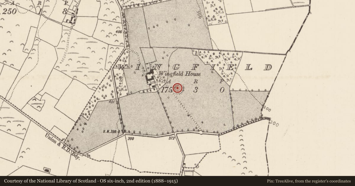 Ordnance Survey six-inch map, 2nd edition (1888–1915) covering the location of Enclosure, Wingfield, County Tipperary North, with a pin at the register's coordinates