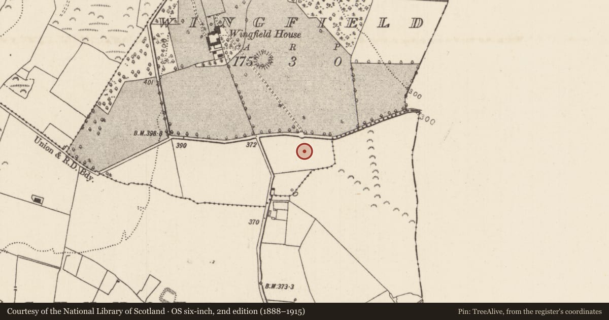 Ordnance Survey six-inch map, 2nd edition (1888–1915) covering the location of Enclosure, Wingfield, County Tipperary North, with a pin at the register's coordinates