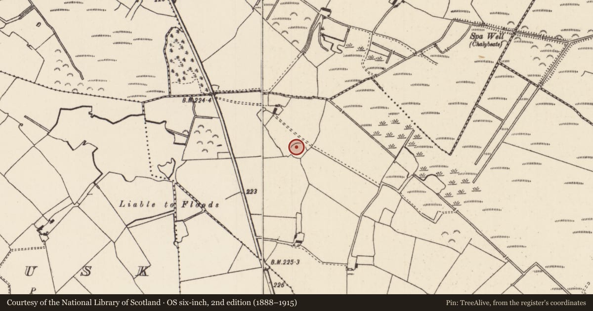 Ordnance Survey six-inch map, 2nd edition (1888–1915) covering the location of Enclosure, Lismacrory, County Tipperary North, with a pin at the register's coordinates
