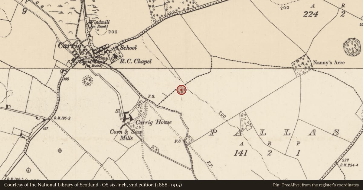 Ordnance Survey six-inch map, 2nd edition (1888–1915) covering the location of Ringfort - rath, Caherhoereigh, Pallas (Loughkeen Par.), County Tipperary North, with a pin at the register's coordinates
